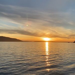 Meet your Posher, Gracie